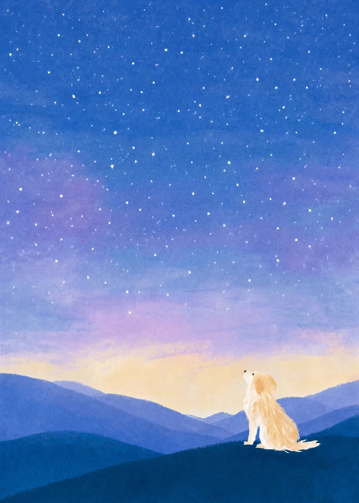This month's art print: a golden retriever pup on a dark hillside, watching the first stars come out over the sunset